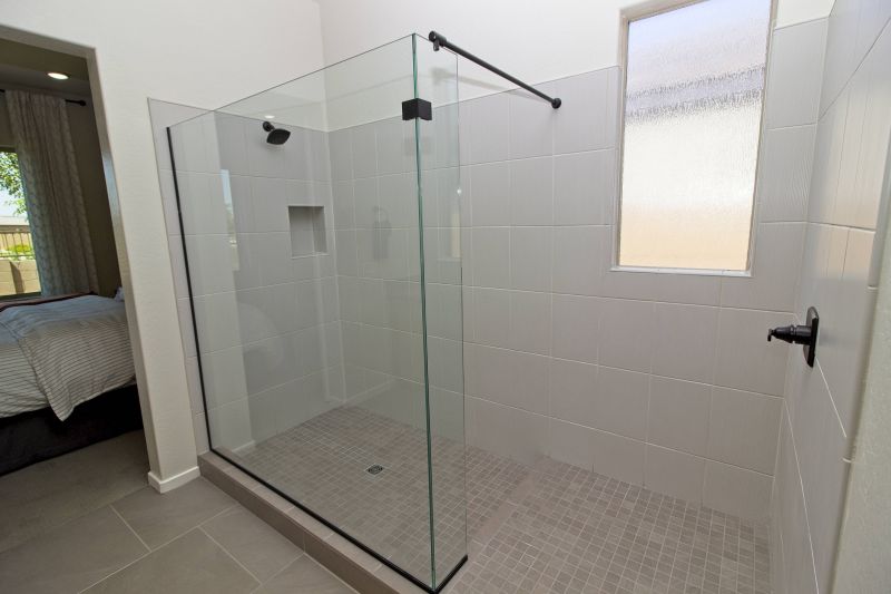 Contemporary walk-in shower